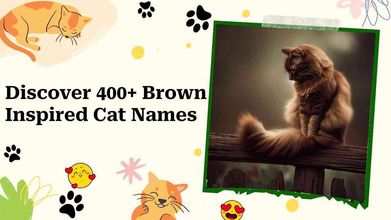 brown cat names cover
