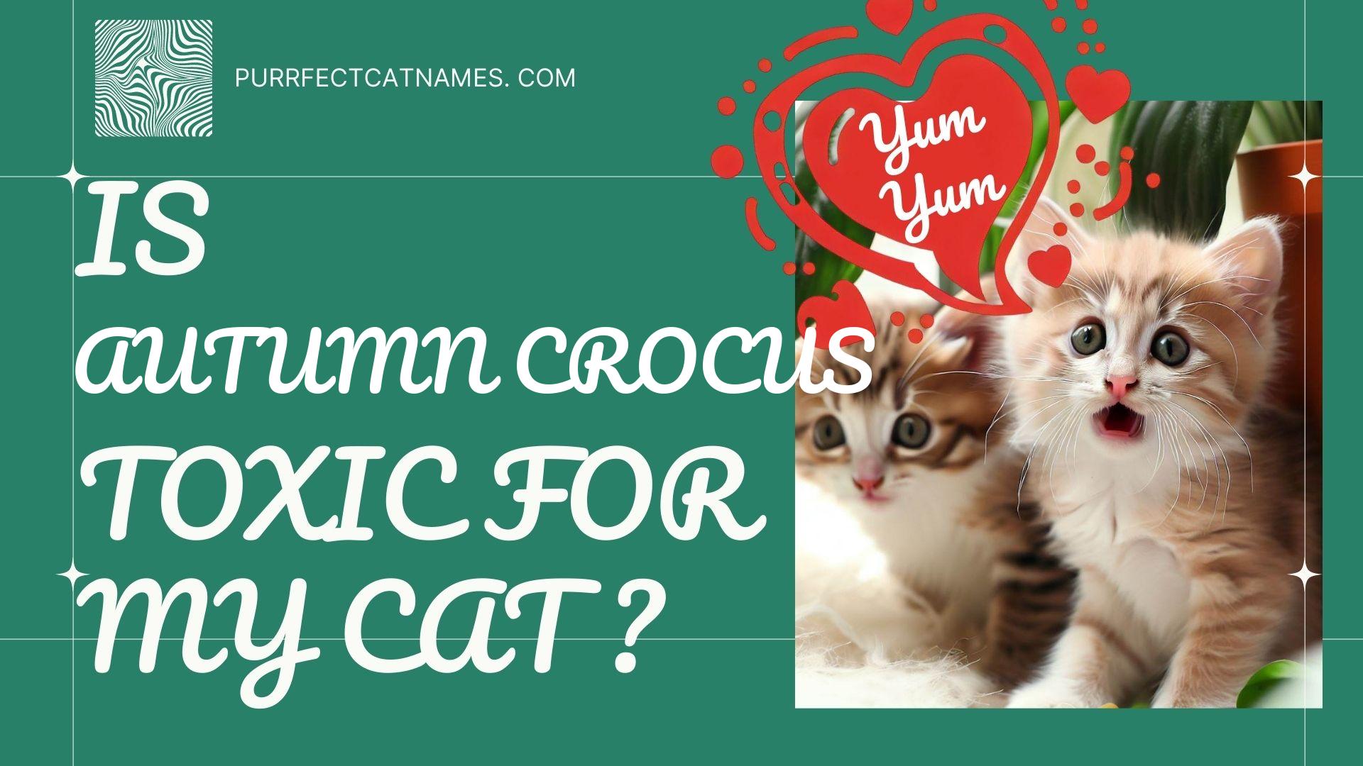 IsAutumn Crocus plant toxic for your cat