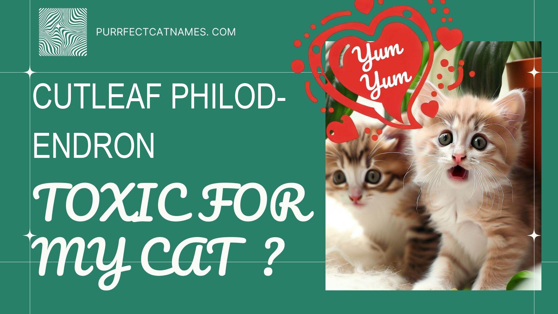 IsCutleaf Philodendron plant toxic for your cat