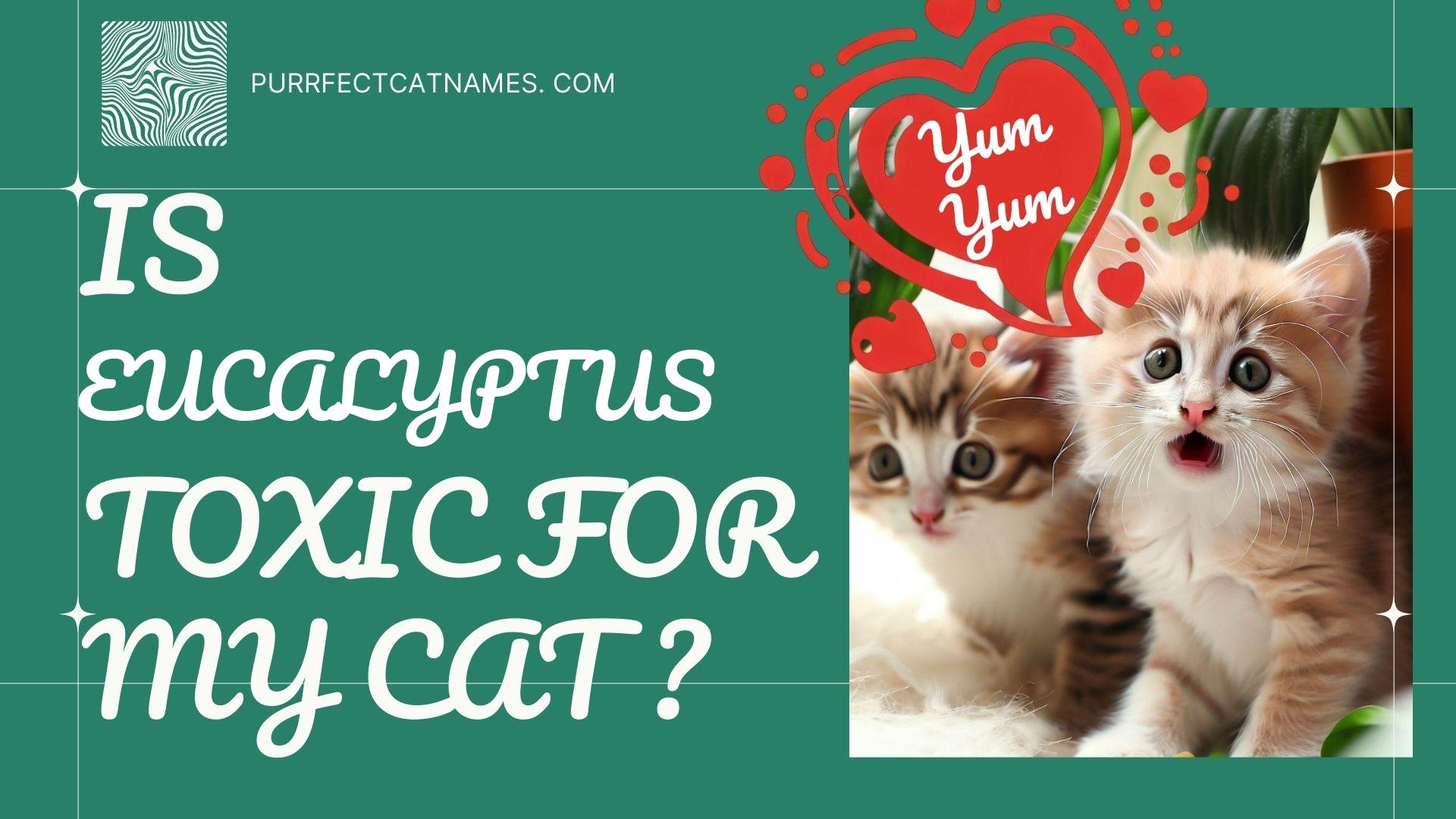 IsEucalyptus plant toxic for your cat