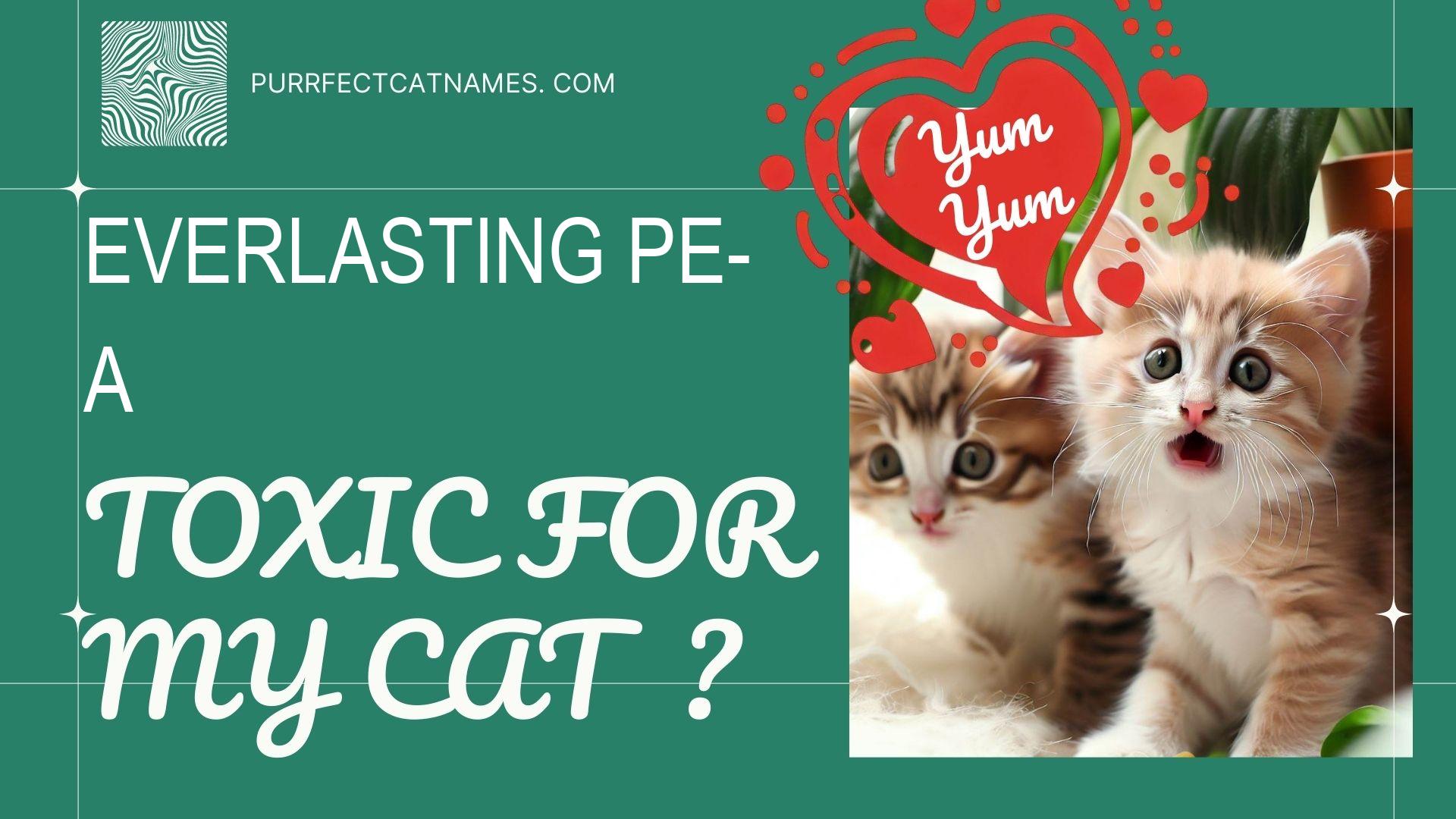 IsEverlasting Pea plant toxic for your cat