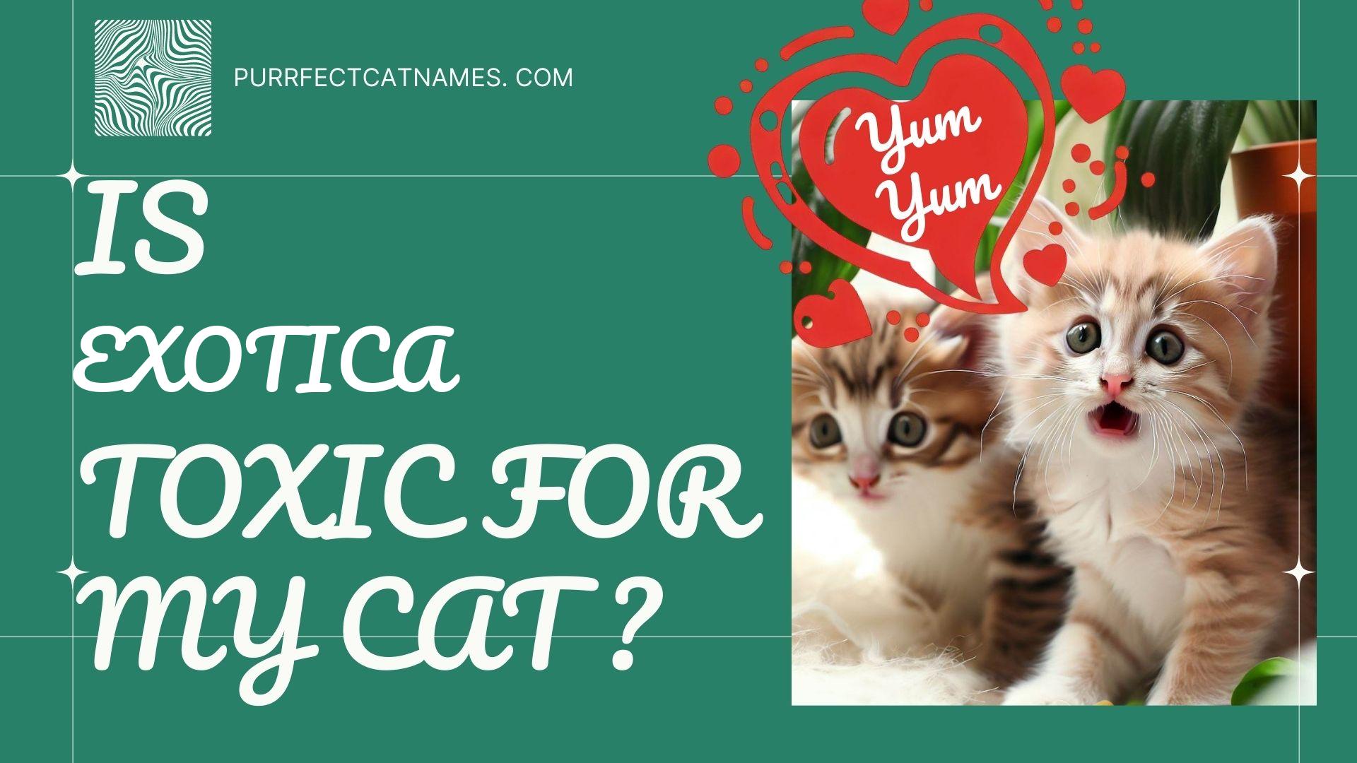 IsExotica plant toxic for your cat