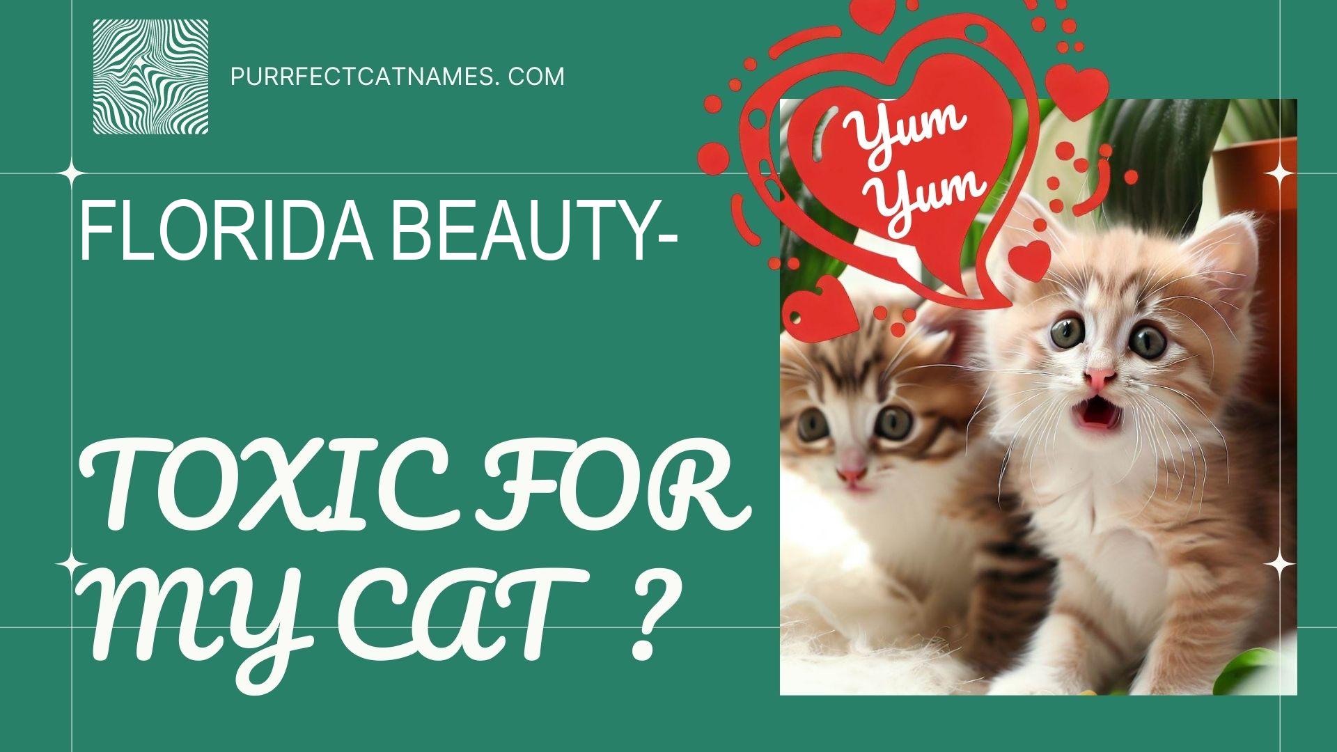 IsFlorida Beauty plant toxic for your cat