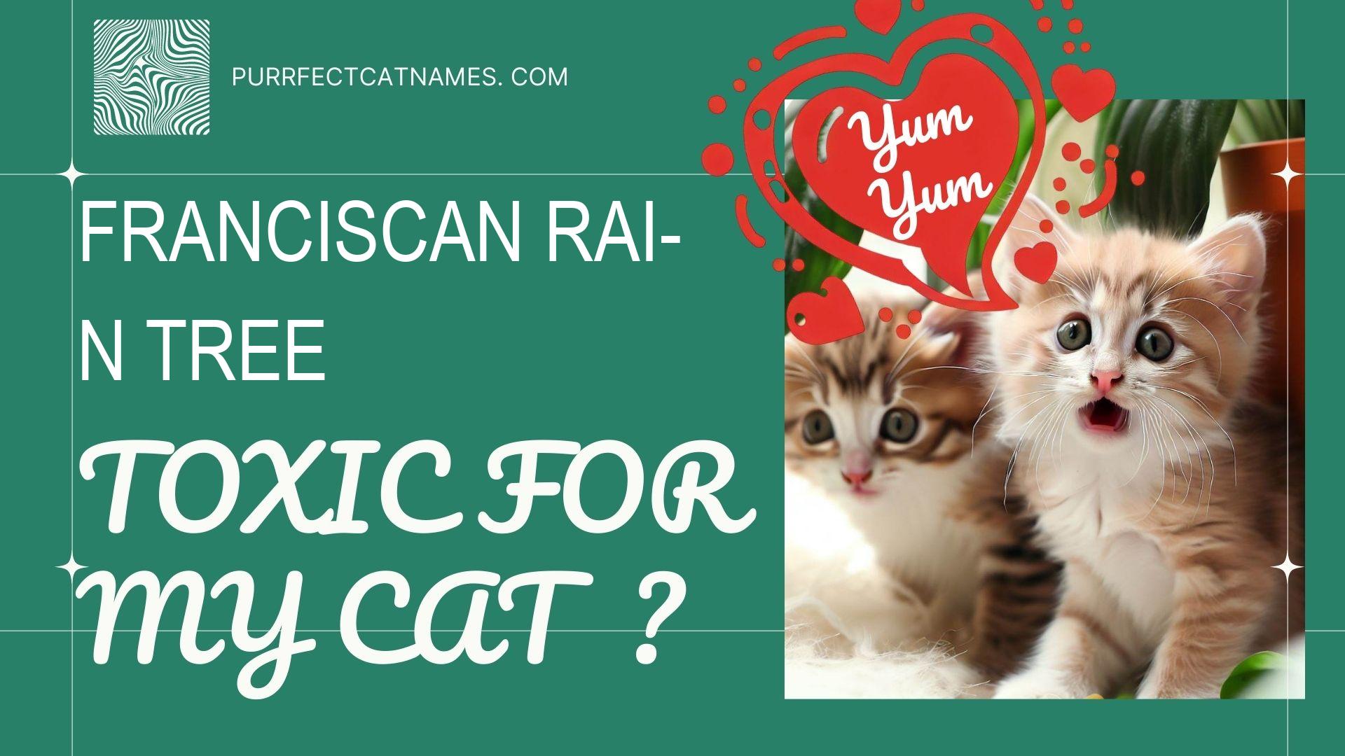 IsFranciscan Rain Tree plant toxic for your cat