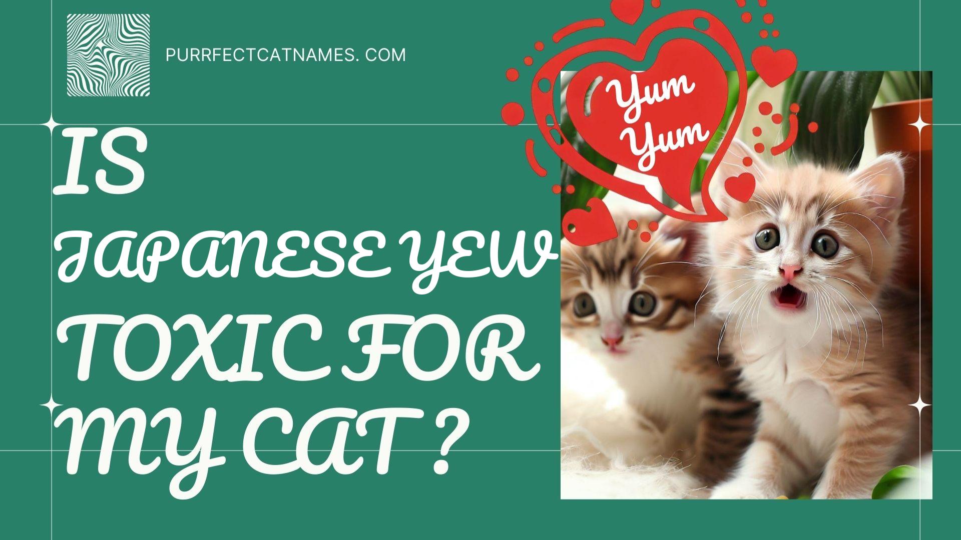 IsJapanese Yew plant toxic for your cat