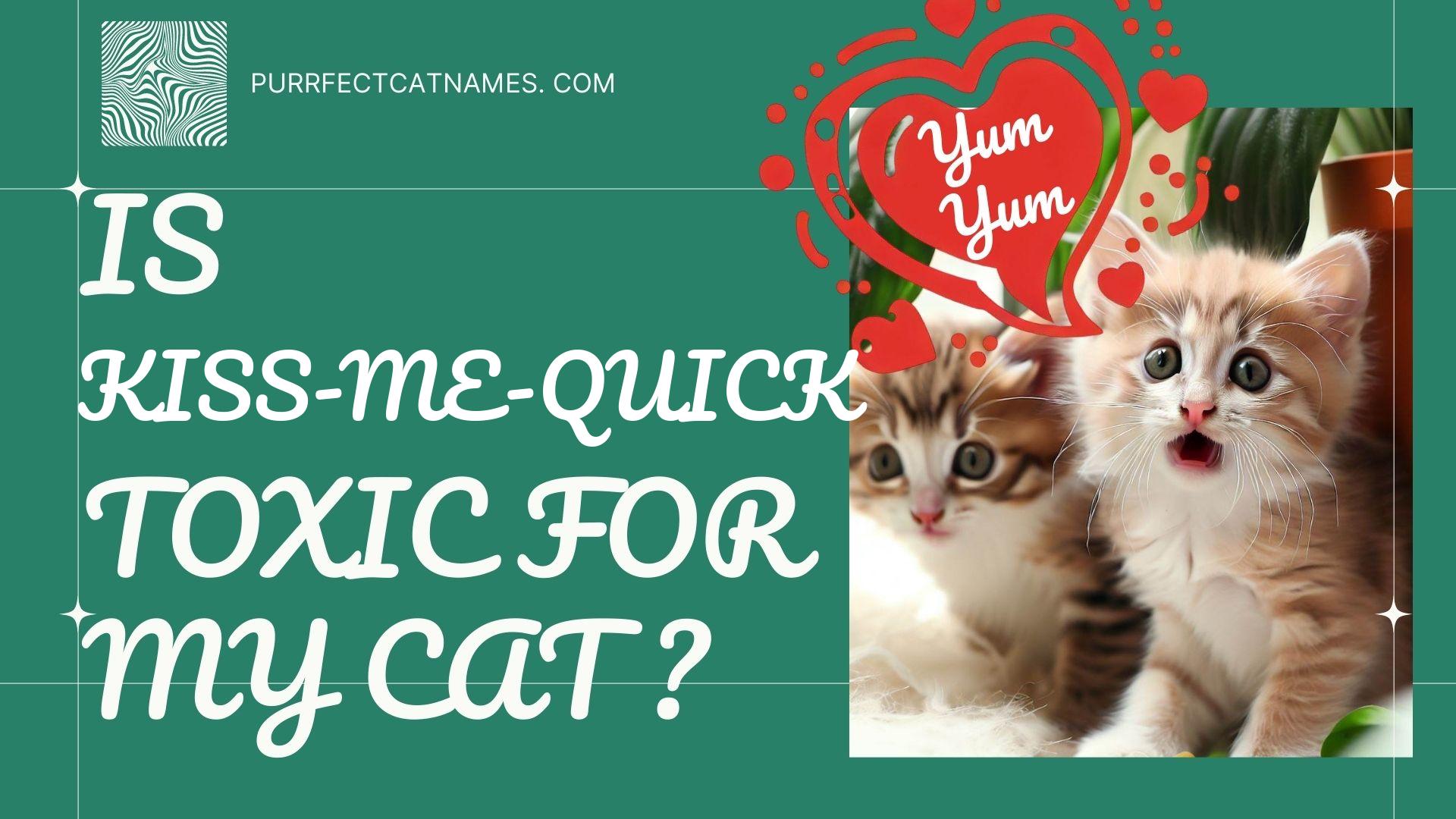 IsKiss-me-quick plant toxic for your cat