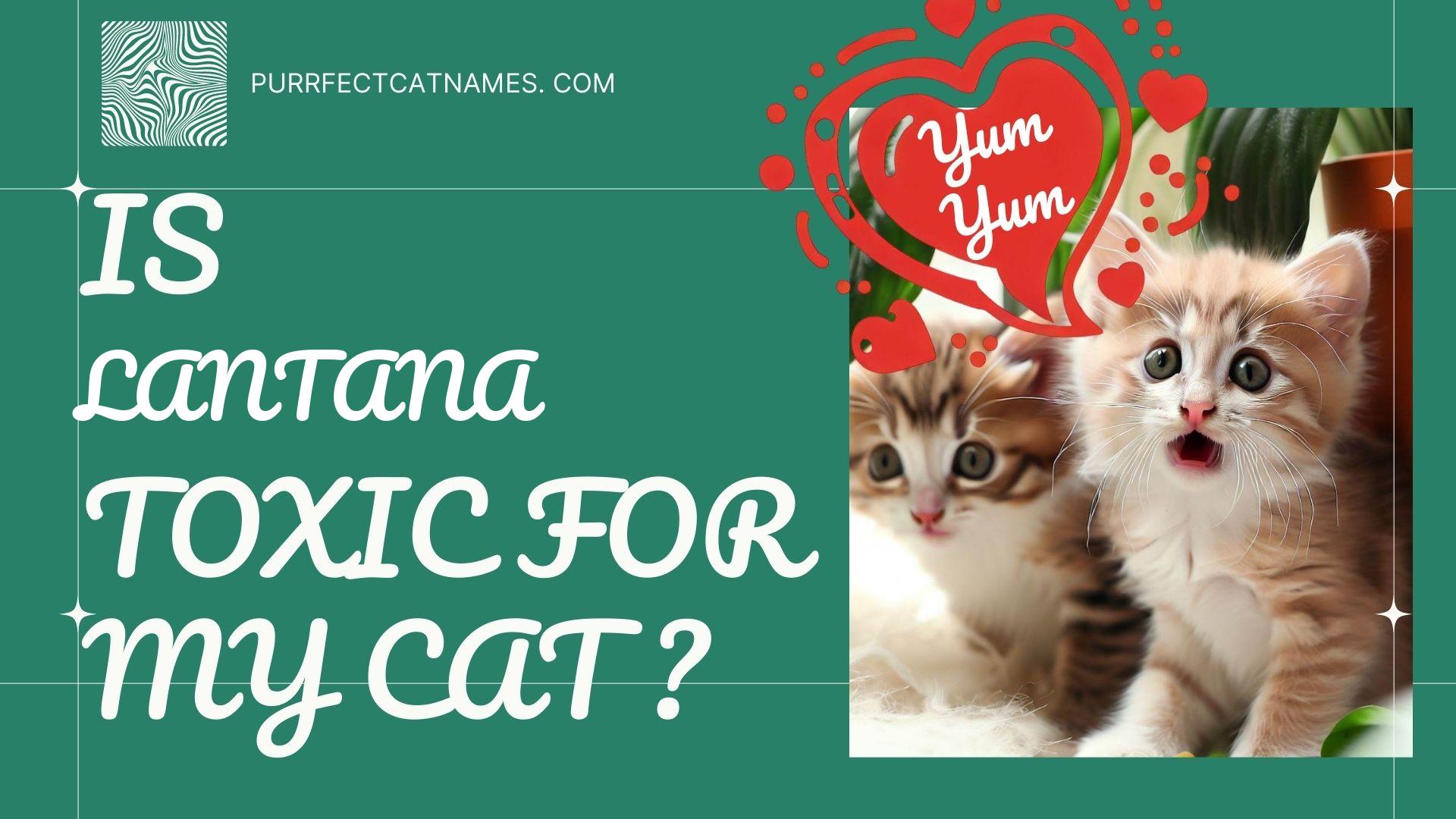 IsLantana plant toxic for your cat