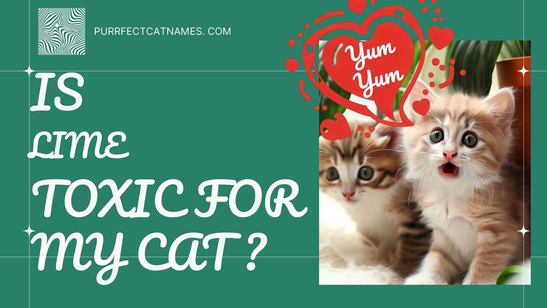 IsLime plant toxic for your cat