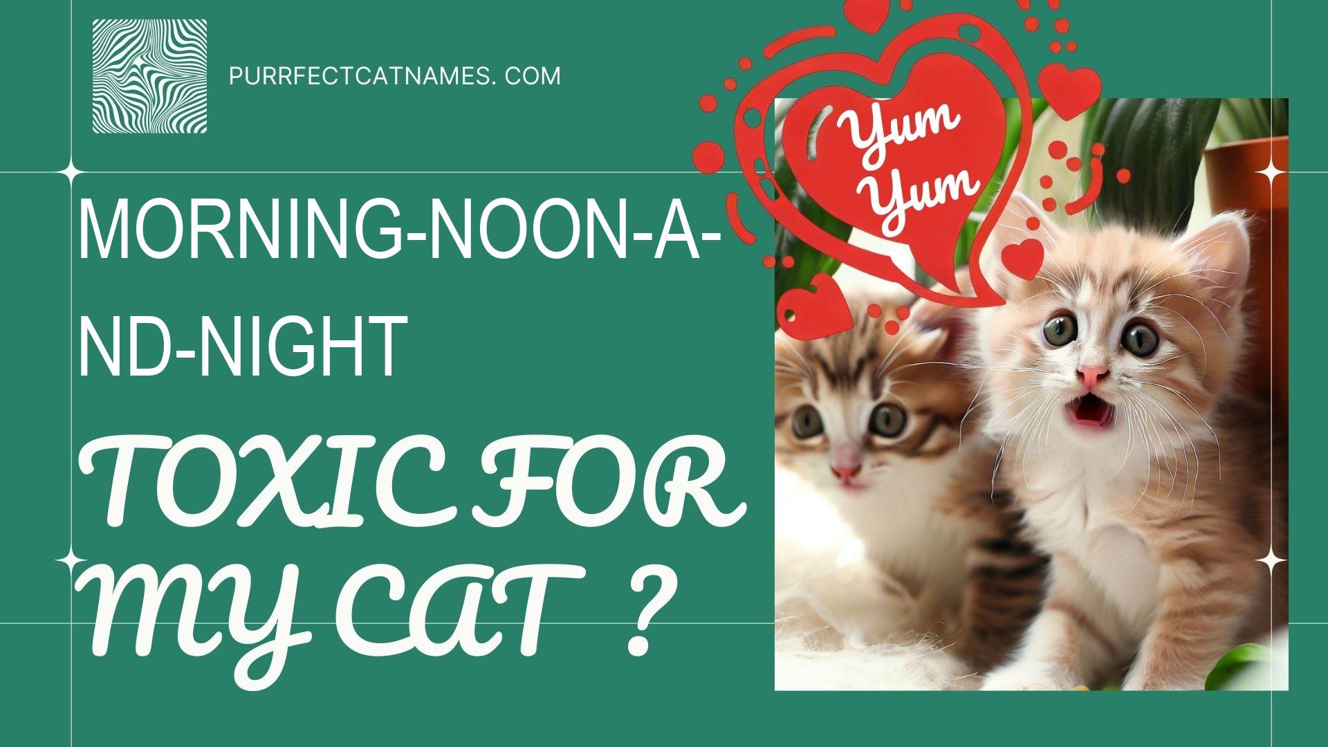 IsMorning-Noon-and-Night plant toxic for your cat