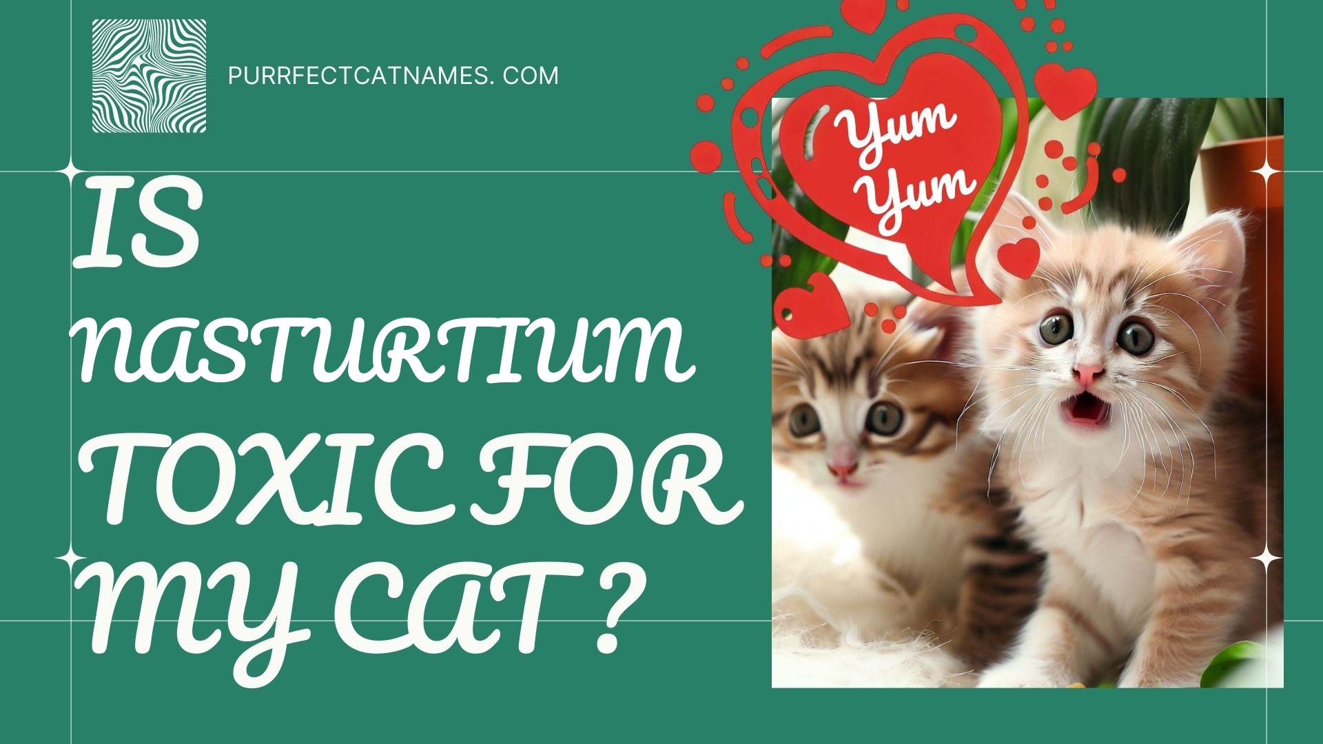 IsNasturtium plant toxic for your cat
