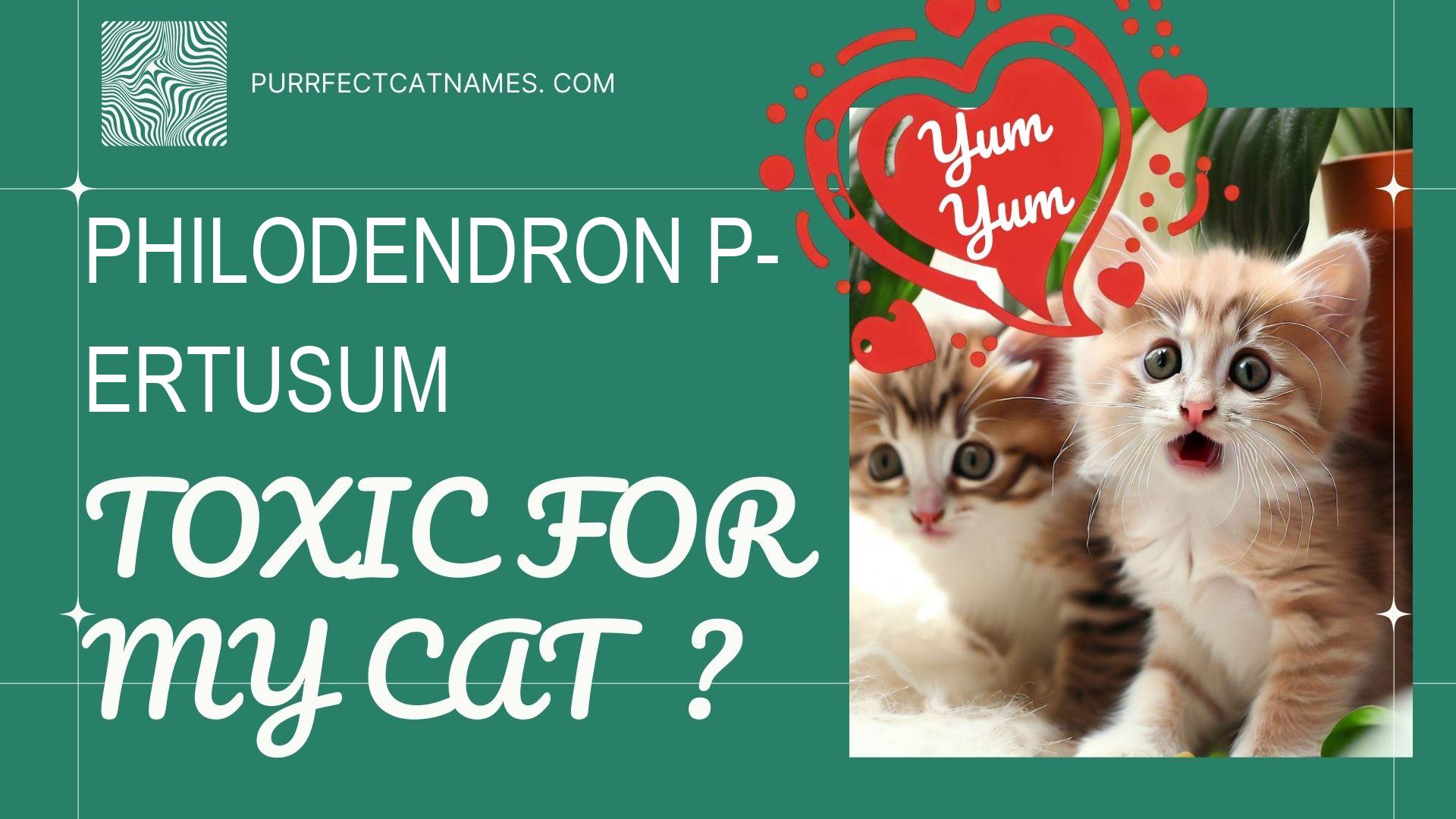 IsPhilodendron Pertusum plant toxic for your cat