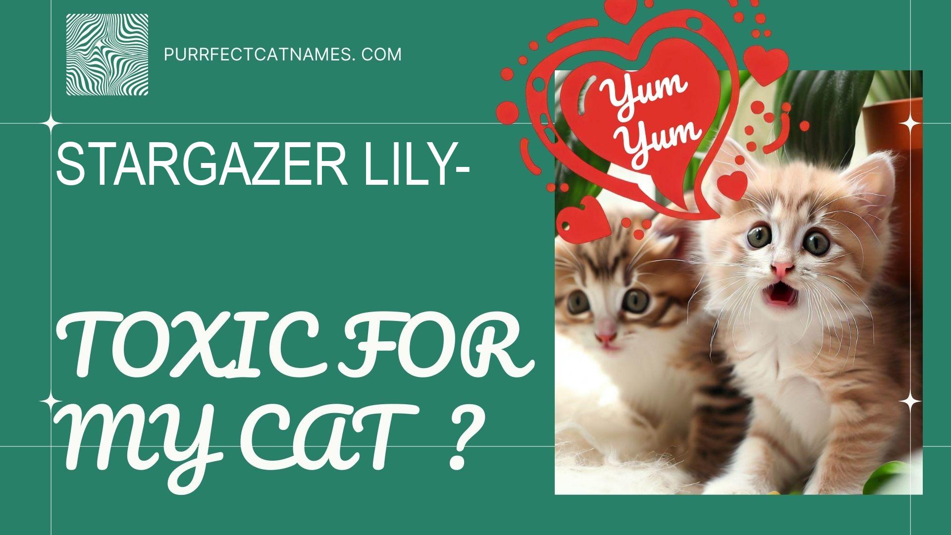 IsStargazer Lily plant toxic for your cat