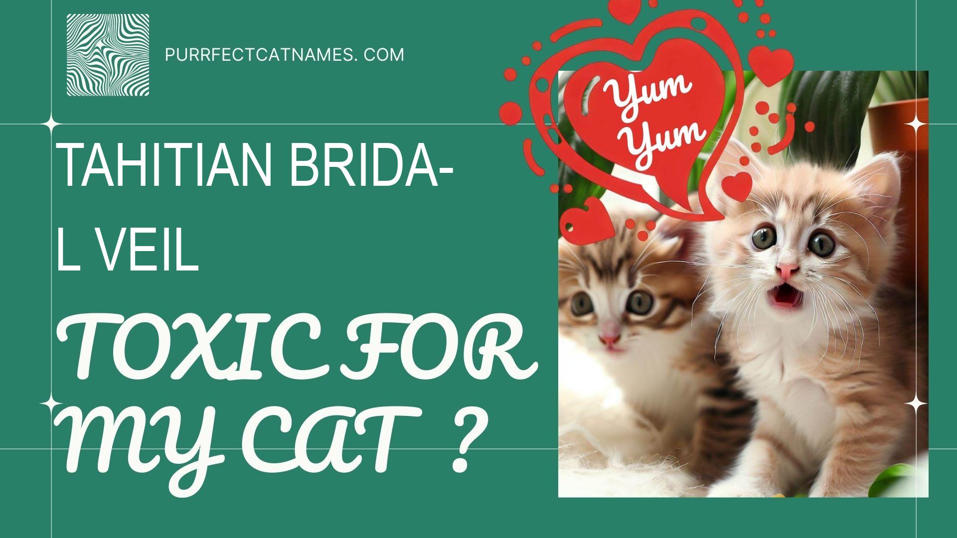 IsTahitian Bridal Veil plant toxic for your cat