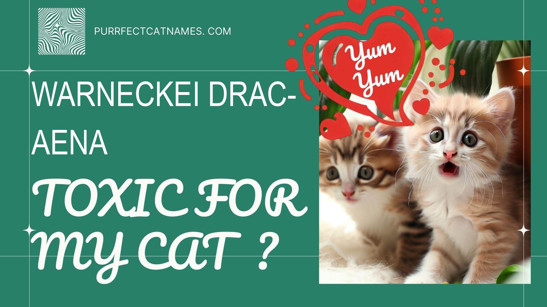 IsWarneckei Dracaena plant toxic for your cat