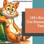 Alcohol based Cat Names